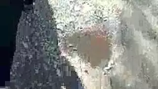 ناضجة هولندية عاهرة تلعق فرجها في الشارع