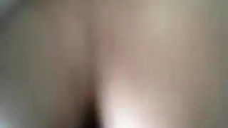 فنانات تريكيه