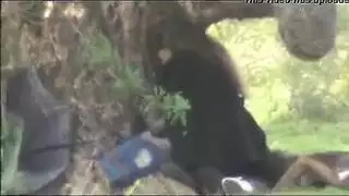 اسخن مقاطع نيك عربية في الشارع شرمطة بنات الجامعة مع الشباب